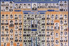 1981-1989