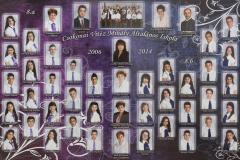 2006-2014